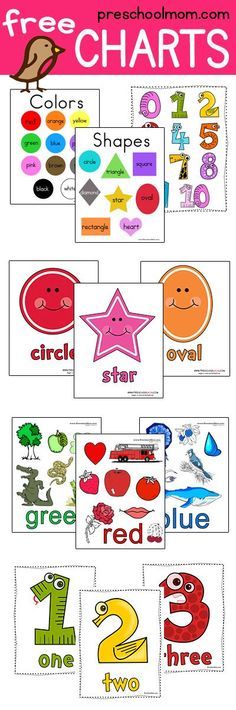 Great Collection of Free Printable Charts. This site has Colors, Shapes, Numbers, Alphabet, Butterfly, Frog Life Cycle, and more! Colours For Preschoolers Learning, Alphabet Charts Printable Free, Identifying Colors Preschool, Preschool Number Posters Free Printable, Number Posters Free Printables, Colors Posters Free Printable, Educational Charts Free Printable, Shape Posters Preschool Free Printable, Preschool Posters Free Printable