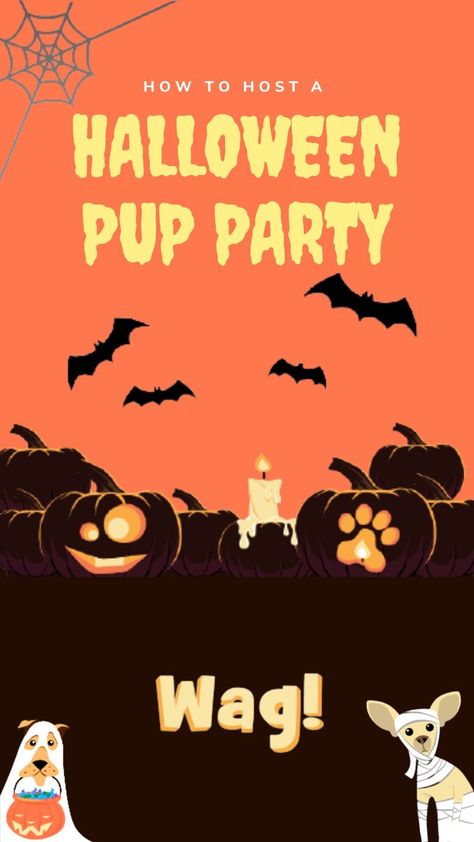 First image reads, "How To Host a Halloween Pup Party" in pale yellow against an orange background. The image has illustrated spider webs, bats, jack-o-lanterns, and dogs dressed for Halloween.

Second image reads, "#1 Draw Up The Guest List" with illustrated dogs in costumes.

Third image reads, "#2 Make a Menu For the Mutts" with illustrated dogs in costumes with candy buckets.

Fourth image reads, "#3 Let Your Doggo Help You DIY The Invitations" with illustrated invitations with paw prints. Puppy Halloween Party, Halloween Themed Dog Birthday Party, Halloween Activities For Dogs, Halloween Party For Dogs, Halloween Dog Party Ideas, Dog Halloween Party Ideas, Halloween For Dogs, Halloween Dog Party, Dog Halloween Party