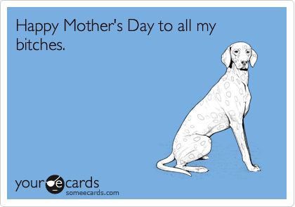 Happy Mother's Day to all my bitches. Mothers Day Meme, Happy Mother's Day Funny, Mothers Day Funny, Happy Mothers Day Images, Happy Mothers Day Wishes, Funny Quotes In Hindi, Happy Mother Day Quotes, Mother Day Wishes, Funny Ecards