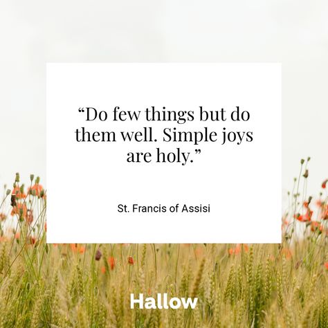 St. Francis of Assisi Quote – Hallow St Francis Quotes, Francis Of Assisi Quotes, Francis Of Assisi Prayer, Gods Plan Quotes, St Francis Of Assisi, Fabulous Quotes, Saint Quotes Catholic, Simple Joys, Saint Quotes