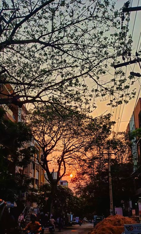 Evening Photos Nature, Beautiful Evening Photography, Mallikarjuna Swamy, Nature Dp For Whatsapp, Sunset Snap, City Life Aesthetic, Sky Photography Nature, Instagram Feed Ideas Posts, Evening Sunset