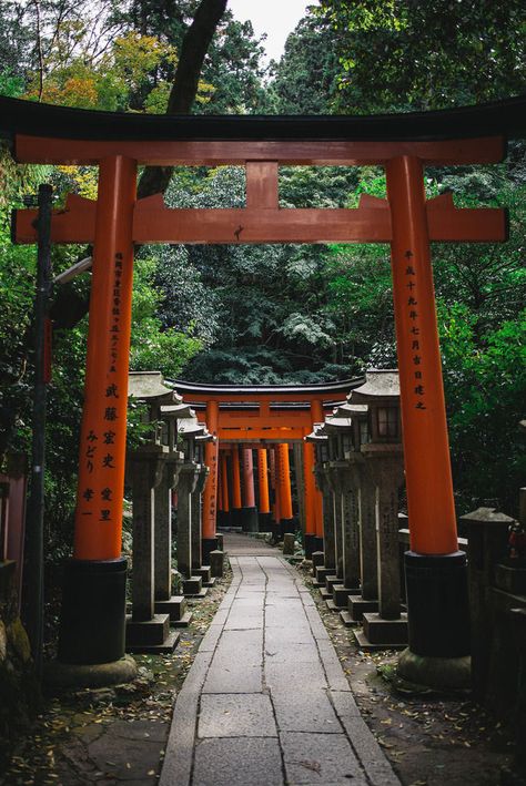 Jing Y Jang, Japanese Shrine, Asian Landscape, Japan Landscape, Japan Architecture, Torii Gate, Japanese Landscape, Japan Aesthetic, Aesthetic Japan