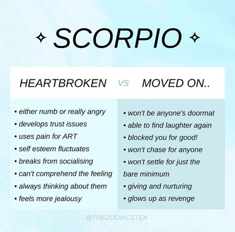 Zodiac Mind Scorpio, Scorpio Compatibility, Scorpio Energy, Zodiac Quotes Scorpio, Scorpio Astrology, Astrology Scorpio, Scorpio Traits, Zodiac Signs Chart, Scorpio Love