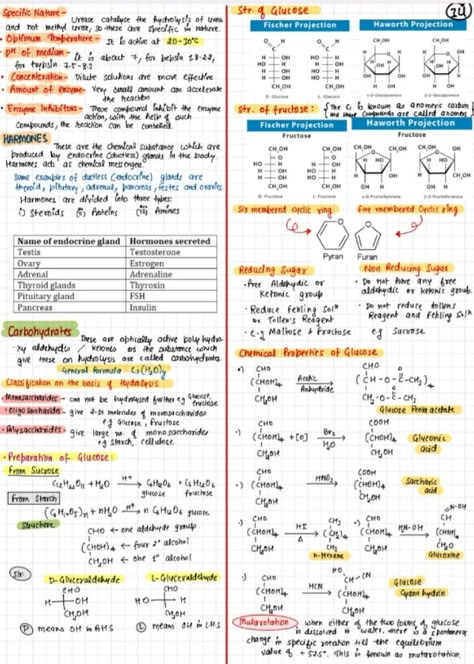 Biomolecules Notes Chemistry Class 12, Bio Molecules, Chemistry Flashcards, Jee Notes, Class 12 Chemistry Notes, 12 Chemistry Notes, Chemistry Short Notes, Zoology Notes, Chemistry Formulas