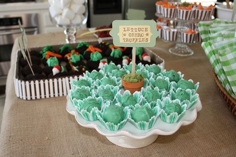 Beatrix Potter Party, Beatrix Potter Birthday, Peter Rabbit Birthday Party, Rabbit Birthday Party, Peter Rabbit Theme, Rabbit Theme, Peter Rabbit Birthday, Peter Rabbit Party, Rabbit Birthday