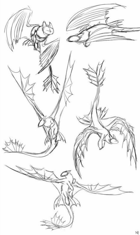 Dragon Poses, Dragon Anatomy, Httyd Art, Dragon Sketch, Creature Drawings, Arte Sketchbook, Dragon Artwork, Fantasy Creatures Art, Dragon Drawing