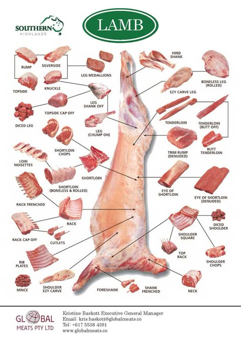 Meat Cuts Chart, Beef Cuts Chart, Gifts For Chefs, Culinary Lessons, Lamb Cuts, Food Calorie Chart, Raising Farm Animals, Cooking Gifts, Lamb Dishes