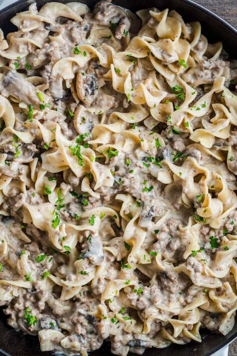 Creamy Ground Beef Stroganoff, Beef And Alfredo Sauce, Ground Beef And Alfredo Sauce, Stroganoff Recipe Ground Beef, Leftover Ground Beef Recipes, Leftover Ground Beef, Crock Pot Stroganoff, Beef Gravy Recipe, Recipe Ground Beef