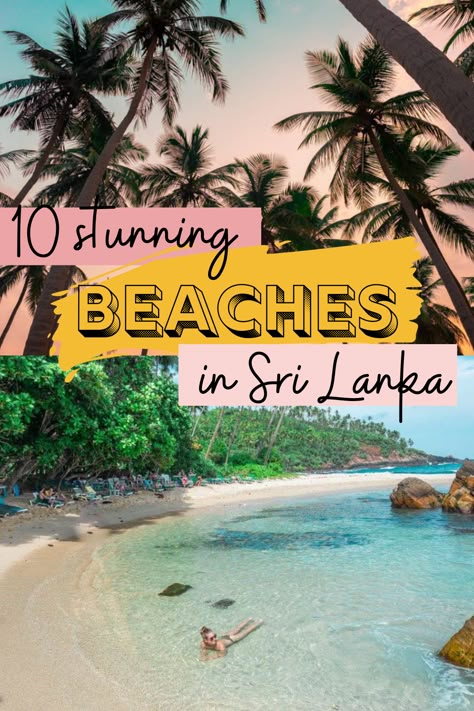 Check out these STUNNING beaches in Sri lanka! Whether you are planning your sri lanka itinerary or just dreaming for future travels, you NEED to add these beaches to your travel bucket list. Sri Lanka Honeymoon, Sri Lanka Itinerary, Sri Lanka Beach, Dolphin Watching, Sri Lanka Holidays, Travel Sri Lanka, Beach Village, Fresh Coconut, Sri Lanka Travel