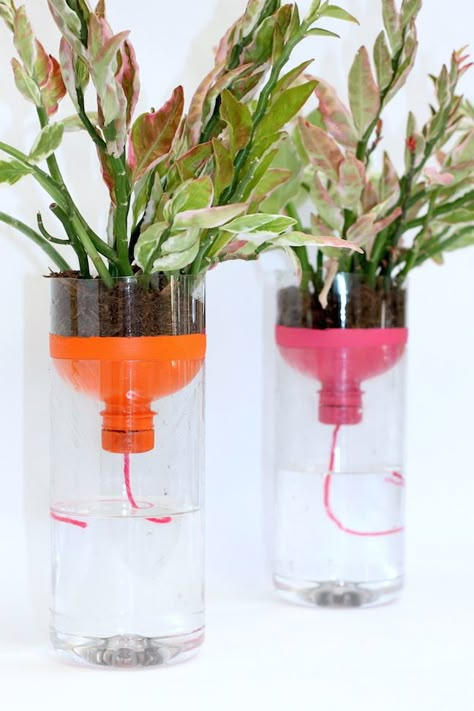 Self Watering Bottle, Diy Self Watering, Diy Self Watering Planter, Plastic Bottle Planter, Self Watering Containers, Self Watering Plants, Creative Planter, نباتات منزلية, Diy Plastic Bottle