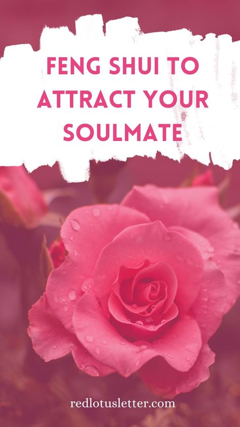 Are you looking for that person with whom you sense a connection above all others? The one who seems to speak to your soul? Well, your search is finally coming to an end. Explore these tips and start activating a forever love energy to find 'The One' ? #redlotusletter #fengshuitips #fengshuikatie #fengshuilifestyle #fengshuiliving #fengshuiyourlife #fengshui #fengshuiforlove #romance #love #happy #caring #romance #couple #romantic #soulmate #relationshipgoals Feng Shui Relationship Corner, Love Lessons Quotes, Feng Shui Candles, Find Soulmate, Feng Shui Wealth Corner, Feng Shui For Love, Romantic Soulmate, Thinker Quotes, Feng Shui Love