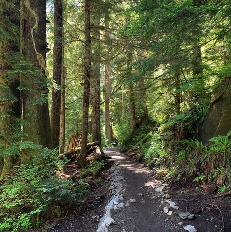 Pacific Northwest Hiking, Hiking Aesthetic Outfit, Pacific Northwest Trail, Hiking Art, All Rhodes Lead Here, Adventure Core, Andrew Cooper, Seattle Photos, North Conway