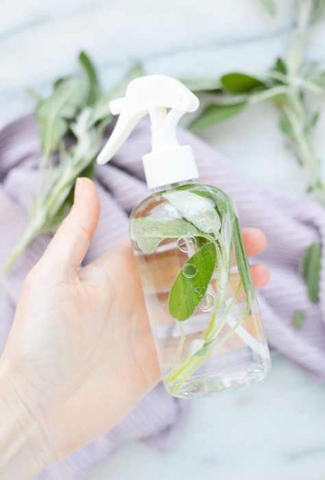 Sage is an herb thought to have a multitude of healthy home benefits. In fact, some people believe that sage can clear negative energy from a space. This DIY sage cleansing spray combines the power of natural ingredients to effectively cleanse your home with a lovely sage scent afterwards.    You will want to use fresh sage for this spray. Dried sage from the spice aisle will not be as effective - or as beautiful.    Ingredients you will need:  1 bunch of fresh sage leaves (about… Salt Ritual, Wax Air Freshener, Sage Spray, Sage Cleansing, Scrub Soap Bars, Green Cleaning Recipes, Natural Room Spray, Smudge Spray, Soap Melt And Pour