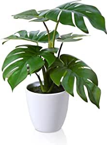 HCCY Fake Plants 7.2" with 6 pcs Leaves Artificial Plants Decorative for Home Decor Faux Plants in Pot Spanish Theme House, Bathroom Plants No Sunlight, Room Redecorating Ideas, Best Bathroom Plants, Comfy Corner, Fake Potted Plants, Centerpiece For Table, Desk Plants, Fake Plants Decor