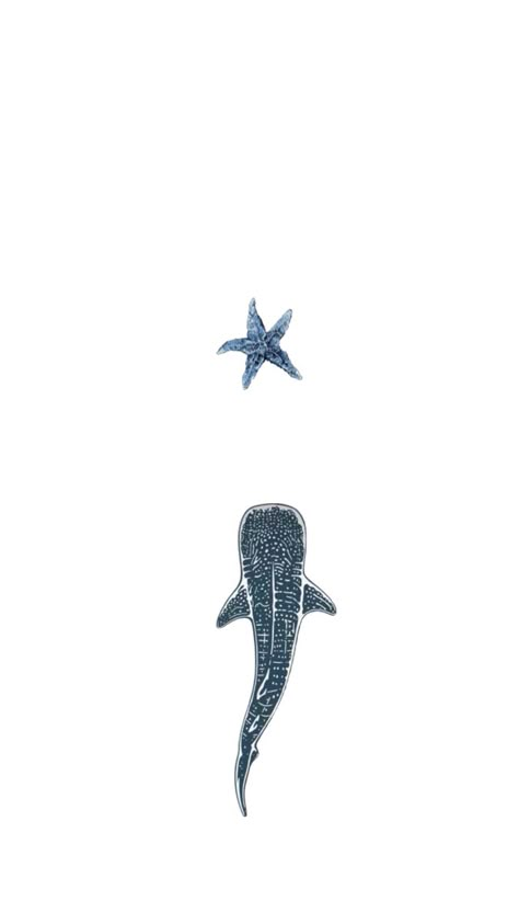 Cutest demure Shark Wallpaper Iphone, Shark Board, Shark Background, Whale Shark Tattoo, Tumblr Lockscreen, Paint My Room, Iphone Customization, Good Wallpapers, Wallpaper Tumblr Lockscreen