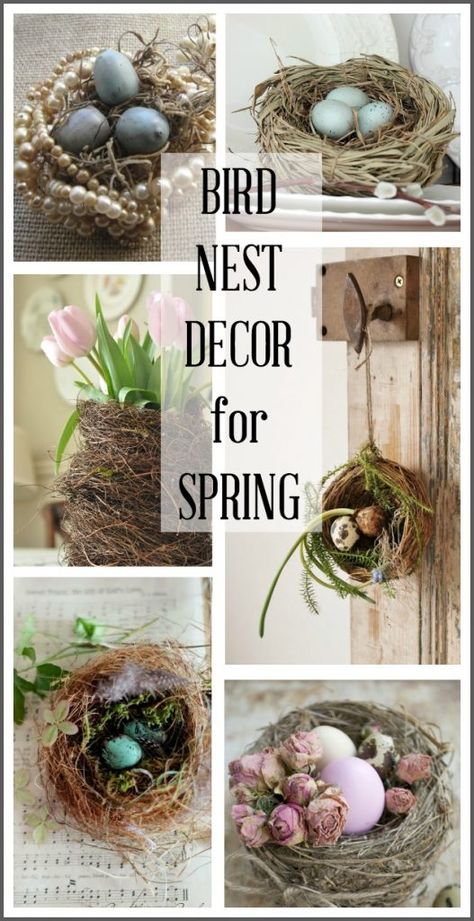 This post contains a variety of ways to use bird nests in your spring home decor including: tablescapes, wall decor, flower arrangements and more! #hymnsandverses #birdnest #birdsnest #nest #springdecor Bird Nest Craft Decor, Birds Nest Decor, Decorating With Bird Nests, Bird Nest Decor Ideas, Bird Nest Crafts, Bird Nest Decor, Nest Craft, Nest Decor, Bird Nest Craft