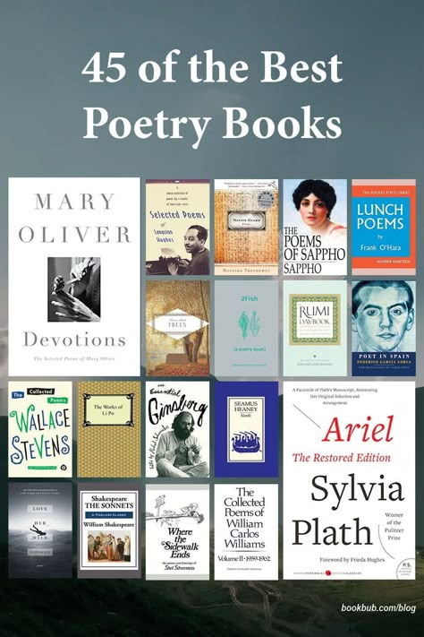 45 poetry books everyone should read in their lifetime.  #books #poetry #poems Books About Poetry, Best Classic Poetry Books, Poetry To Read, Poets To Read, Must Read Poetry Books, Classic Poetry Books To Read, Poetry Classics Books, Best Poetry Books Of All Time, Good Literature Books