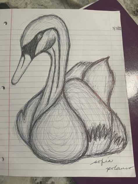 Pen Drawing Ideas Easy Sketch, Cool Pencil Drawings Easy Simple, How To Draw A Swan, Pen Art Ideas Easy, Sketch Book Ideas Pencil, Sketch Ideas Nature, Swan Drawing Sketches, Drawing Ideas Aesthetic Pencil, Black Pen Drawing Sketches