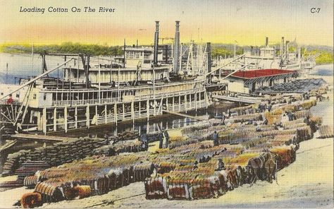 Loading Cotton on the River Bluff City, Memphis Tennessee, Memphis Tn, Vintage Linens, Colorful Pictures, Cotton On, Paris Skyline, Tennessee, Display Homes