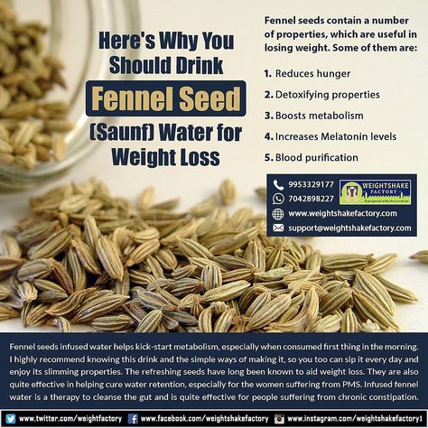 HERE'S WHY YOU SHOULD DRINK FENNEL SEED [SAUNF] WATER FOR WEIGHT LOSS Full Body Massage Techniques, Free Diet Plans, Body Massage Techniques, Water Benefits, Different Diets, Getting Back In Shape, Full Body Massage, Health Knowledge, Boost Metabolism