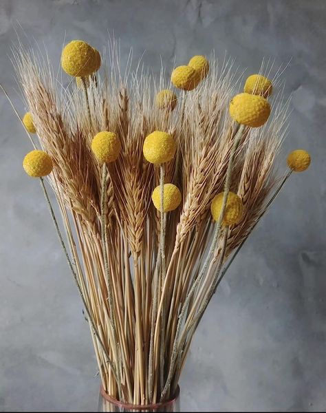 Dried Flowers Bouquet, Wheat Stalks Bundles for Decorations, Corn Stalks, Fake Wheat Decor, Fall Floral Decor Wheat Floral Arrangements, Wheat Flower Arrangement, Dried Wheat Decor, Wheat Grass Decor, Wheat Arrangements, Dry Flower Decor, Wheat Decor, Wheat Bouquet, Wheat Decorations