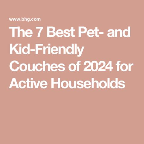 The 7 Best Pet- and Kid-Friendly Couches of 2024 for Active Households Cat Friendly Couch, Pet Friendly Couch, Kid Friendly Couch, Pet Friendly Living Room, Couch Material, Cool Couches, Cat Claws, Dogs And Kids, City Furniture