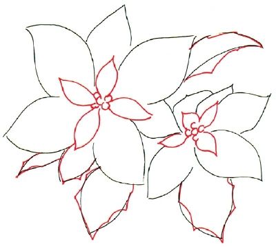 TLC Family "How to Draw a Poinsettia" Draw A Poinsettia, Watercolour Cards, Flower Art Drawing, Drawing Flowers, Watercolor Christmas Cards, Christmas Painting, Poinsettia Flower, Christmas Poinsettia, Plant Drawing