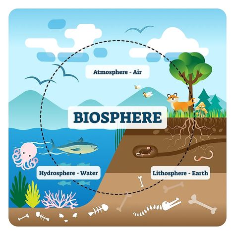 The Four Spheres Of The Earth - WorldAtlas Subsystems Of The Earth, Biosphere Ecosystem, Ecosystems Projects, Earth's Spheres, Earth Science Lessons, Earth Poster, Mt Everest, Earth And Space Science, Earth Atmosphere