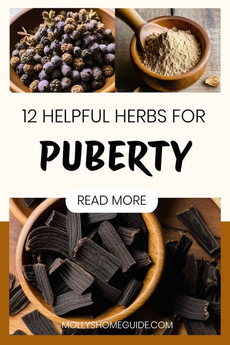 Best Herbs For Womens Health, Shatavari Benefits For Women, Shatavari Benefits, Herbs For Acne, Apothecary Supplies, Herbs For Women, Witchy Herbs, Properties Of Herbs, Herbal Medicine Cabinet