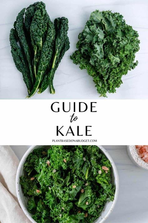 Types Of Kale, Plant Based On A Budget, Kale Vegetable, Kale Plant, Curly Kale, Aesthetic Essentials, How To Cook Kale, Vegan Guide, Simple Makeup Tips