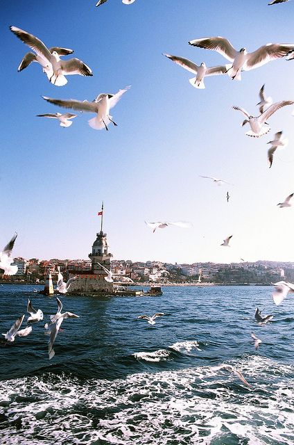 Kiz Kulesi (Maiden's Tower) istanbul Roadtrip Europa, Istanbul Turkey Photography, Istanbul Photography, Istanbul City, Istanbul Travel, Turkey Travel, Istanbul Turkey, Places Around The World, Antalya