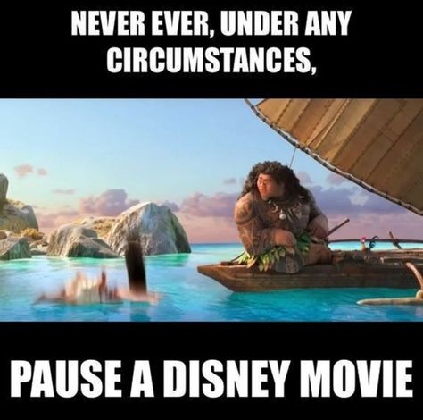 Moana Funny, Moana Memes, Disney Paused, Paused Disney Movies, Humor Disney, Disney Princess Memes, Moana Disney, Disney Theory, Funny Disney Memes