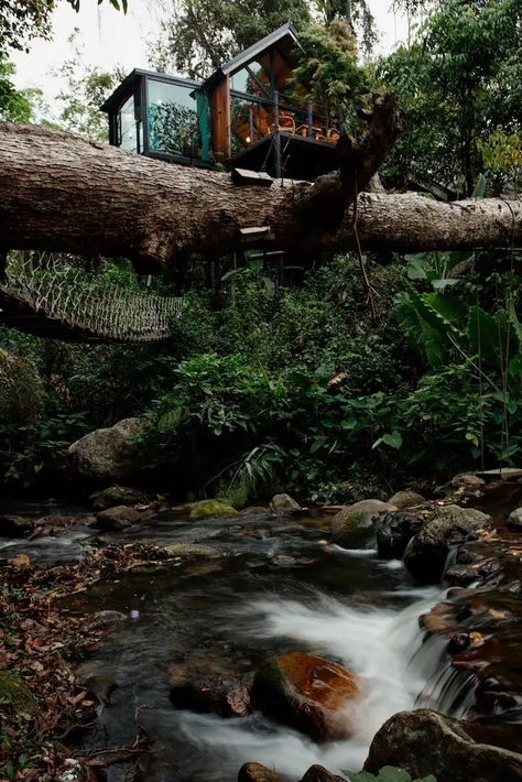 Wilderness Treehouse Above a Stunning Waterfall - Treehouses for Rent in Doi Saket, Chiang Mai, Thailand - Airbnb Thailand Airbnb, Thailand Waterfall, Treehouse Airbnb, Waterfall House, Treehouse Cabins, Hot Air Balloon Rides, Air Balloon Rides, Chiang Mai Thailand, Island House