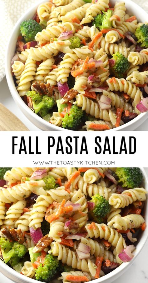 Fall Pasta Salad by The Toasty Kitchen #fall #autumn #pastasalad #partyfood #thanksgiving #halloween #broccoli #carrots #pecans #vegan #sidedish #rotini Thanksgiving Pasta Salad With Butternut Squash, Salad For Fall Party, Pasta Salad For Thanksgiving Dinner, Cold Pasta Salad Recipes Thanksgiving, Pasta Side Salad Recipes, Side Dishes For Fall Cookout, Thanksgiving Salad Side Dishes, Autumn Pasta Salad Recipes, Vegan Fall Pasta Salad