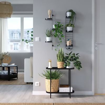 Search - IKEA Small Corner Decor, Wall Mounted Plant, Plant Decor Living Room, Indoor Plant Wall, Vertical Wall Planters, Wall Mounted Planters, Corner Plant, Support Pour Plante, Plant Wall Decor