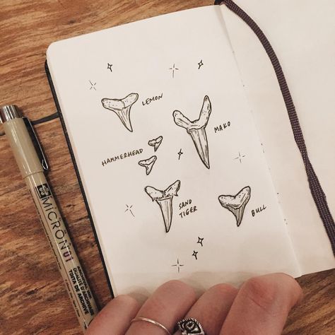 Shark Teeth Tattoo, Tooth Sketch, Body Markers, Teeth Tattoo, Sand Shark, Shark Tooth Tattoo, Hawaii Tattoo, Olivia Harrison, Tooth Tattoo