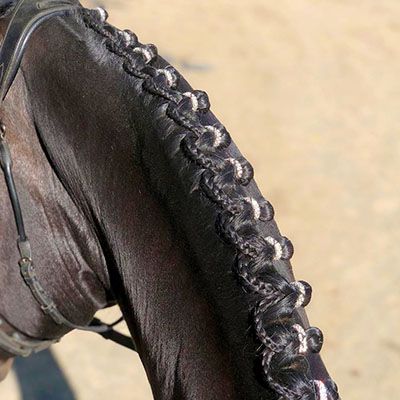 The Secret to Reverse Scallop Braids – The Cheshire Horse Show Braids Horse, Hunter Braids Horse, Tail Braids Horse, Horse Braiding Ideas, Horse Clipping Patterns, Horse Braids Mane, Dressage Braids, Braids For Horses, Horse Plaits