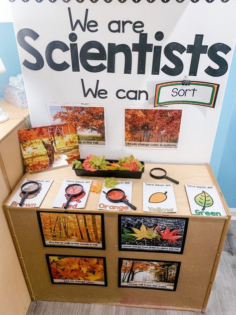 Experiment For Preschool, Science Center Preschool, Sort By Color, Pre-k Science, Science Area, Fall Science, Preschool Science Activities, Preschool Rooms, Prek Classroom