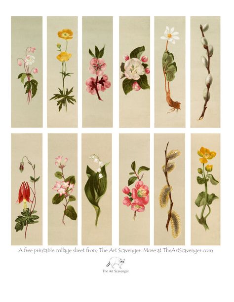 Free Printable Flower Collage Sheet — The Art Scavenger Vintage Bookmarks Printable Free, Bookmarks To Print Free Printable, Free Printable Bookmarks Aesthetic, Vintage Bookmarks Printable, Cute Bookmarks Printable, Printable Bookmarks Aesthetic, Bookmarks Free Printable, Bookmarks To Print, Bookmarks Print