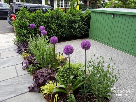 Small English Garden, Front Garden Path, Small Front Garden Ideas, Victorian Front Garden, Front Garden Ideas Driveway, Garden Ideas Driveway, Garden Ideas Uk, Front Door Plants, Garden Front Of House