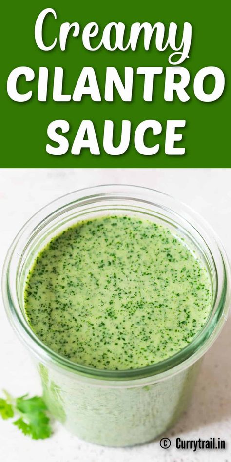 It takes just 5 minutes to make this creamy cilantro sauce. Staying true to it’s name, this green sauce has big flavors of cilantro. A magical green sauce that screams summer and you can use it on – EVERYTHING! Literally everything. #cilantrosauce #creamycilantrosauce #creamysauce #saucefortacos #cilatrosaucerecipe #sauceforchicken #steaksauce #sauceforgrilledfish #lime #jalapenos #spicycilantrosauce Vietnamese Cilantro Sauce, Mexican Chimichurri Sauce, Cilantro Pasta Sauce, Medditeranean Sauce, Ways To Use Cilantro, Cilantro Green Sauce, Empanada Sauce Cilantro, Creamy White Ginger Sauce Fresh Kitchen, Cilantro Paste Recipes