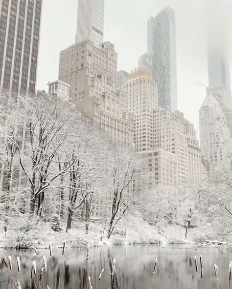 New York City 🗽 NYC Travel | Hotels | Food | Tips on Instagram: "Lost in the mesmerizing beauty of snowy days in the heart of NYC. ❄️🏙️🤩 💡 Winter in New York City is a truly magical experience. As the temperatures drop and the snow begins to fall, the city transforms into a winter wonderland, with twinkling lights adorning every street and storefront. From the iconic ice-skating rink at Rockefeller Center to the bustling holiday markets of Union Square and Bryant Park, there’s no shortage of New York Ice Skating Aesthetic, New York During Winter, Winter Holiday Aesthetic, Nyc In Winter, New York In Winter, Winter In Nyc, Christmas New York, Winter New York, New York Chic