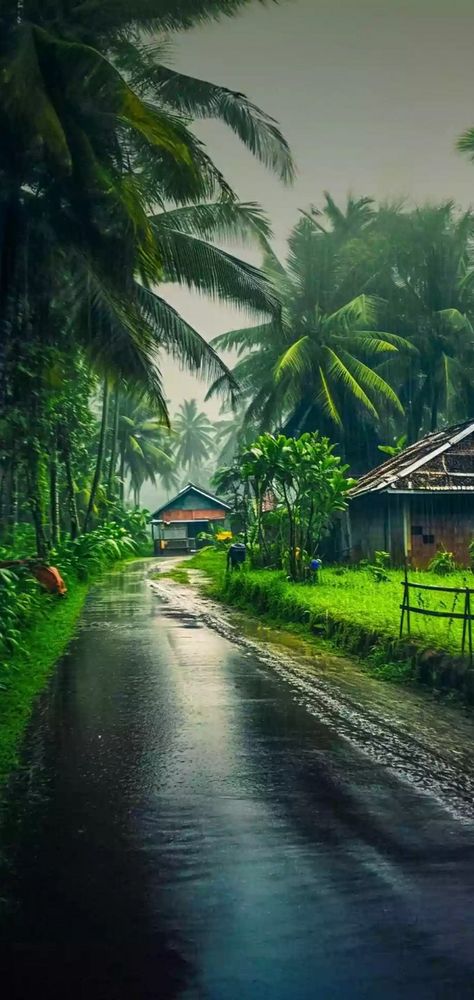 Kerala Monsoon, Animated Photos, Indian Village, Wallpaper Gallery, Kerala, Wallpapers, Photography, Pins