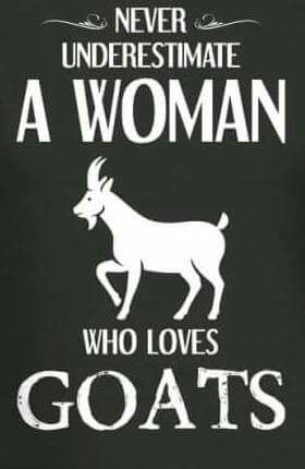 Goat Sayings, Goats As Pets, Farmer Sayings, Goat Quote, Goat Playground, Totes Ma Goats, Goat House, Goat Care, Pygmy Goat