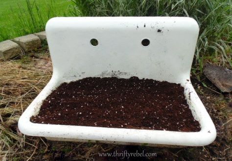 Old Cast Iron Sink Ideas, Vintage Sinks, Big Planters, Vintage Sink, Cast Iron Sink, Garden Sink, Metal Sink, Old Sink, Potting Benches