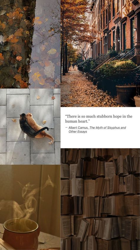 fall aesthetic in the city; books, cats, leaves on the street Autumn Mood Board Aesthetic, Nature Screensavers, November Mood Board, September Mood Board, October Mood Board, Autumn Lockscreen, Autumn Mood Board, Cute Fall Backgrounds, Fall In The City