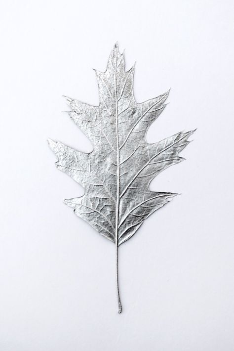 Spray painted leafs// Handmade Craft Ideas, Silver Home Accessories, Mason Jar Crafts Diy, Gray Aesthetic, Silver Paint, A Craft, Mason Jar Diy, Aesthetic Colors, Diy Blog