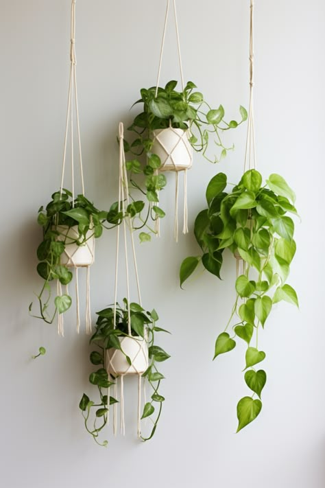 Hanging Plant Ideas to Enhance Your Interior Design - Quiet Minimal House Plants Hanging Ideas, Hanging Office Plants, Balcony Hanging Decor, Hanging Plant Pots Indoor, Boho Bedroom With Plants, Plants Hanging From Ceiling, Hanging Plants Bedroom, Hanging Plants Wall, Ceiling Plants