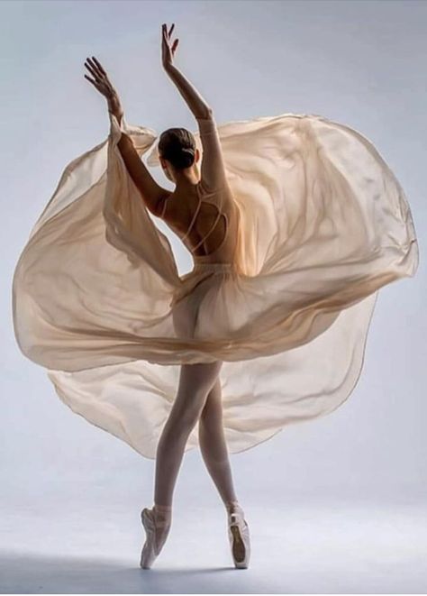 Ballet Photography Poses, Ballerina Photography, Ballerina Poses, Ballet Dance Photography, Lake Photoshoot, Dance Picture Poses, Dancer Photography, Ballet Pictures, Ballet Jazz