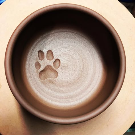 Making some custom dog dishes with a very purposeful #cairnterrier print 😁 #redclay #dogbowl Dog Bowls Pottery Ideas, Diy Ceramic Dog Bowl, Clay Dog Bowls, Clay Dog Bowl Ideas, Handmade Dog Bowl, Dog Bowl Ceramic Pottery, Dog Plate Ceramic, Dog Ceramic Ideas, Dog Pottery Ideas